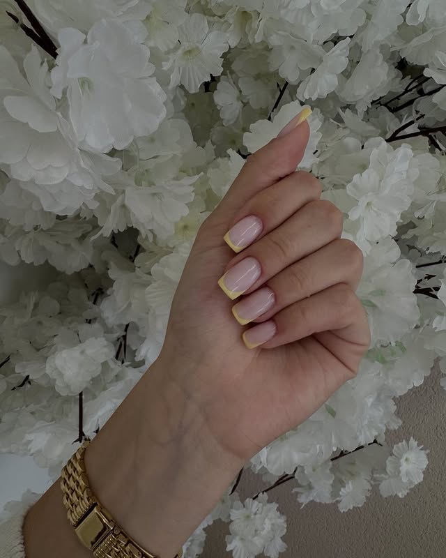 464569385_534882209390889_4825899036556301803_n.