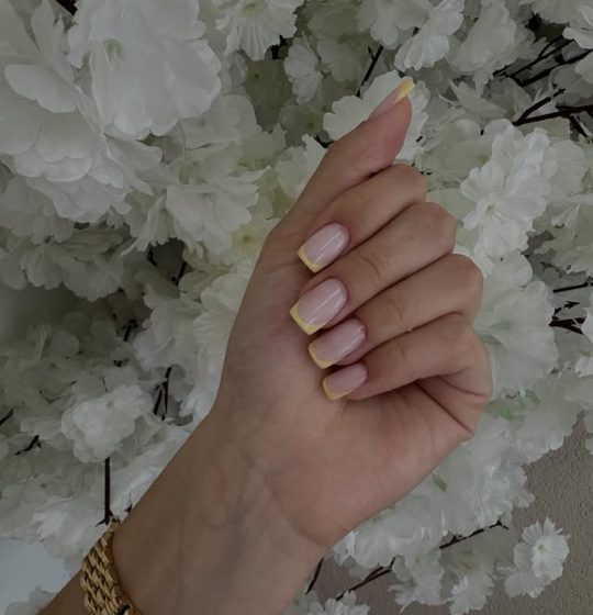 464569385_534882209390889_4825899036556301803_n.